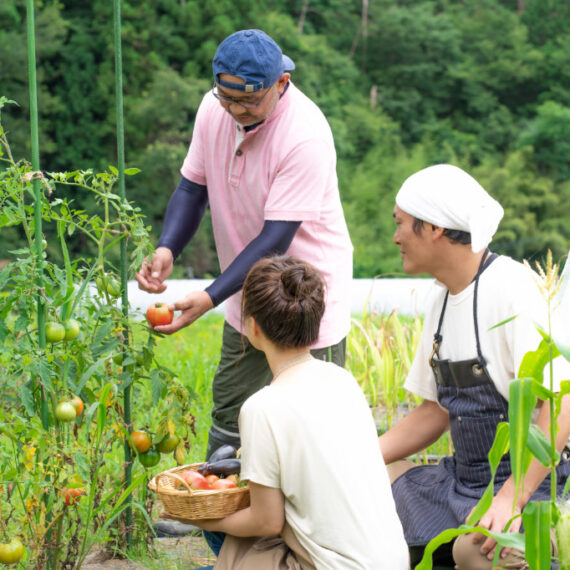 株式会社小池勝次郎商店 - 日本の農業を元気に、豊かにするお手伝い