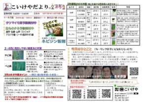 2203こいけやだより