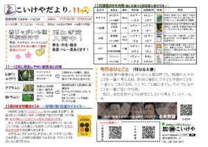 2111こいけやだより