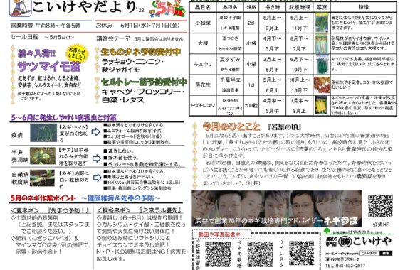 2205こいけやだより