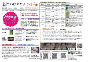 2202こいけやだより