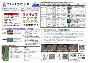 2107こいけやだより
