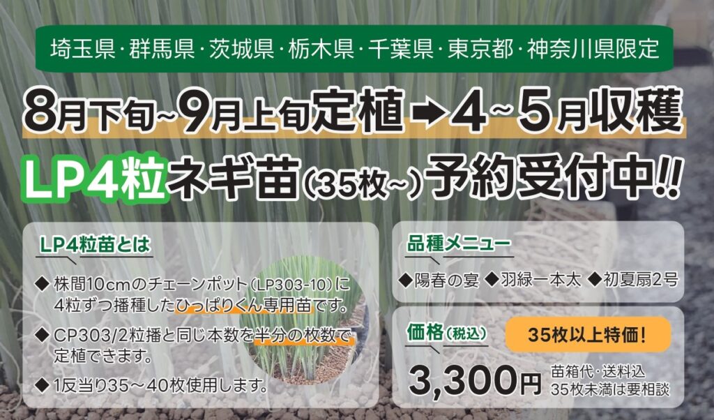 地域限定特価】8月下旬～9月上旬定植⇒4～5月収穫用ネギ苗ご予約受付中