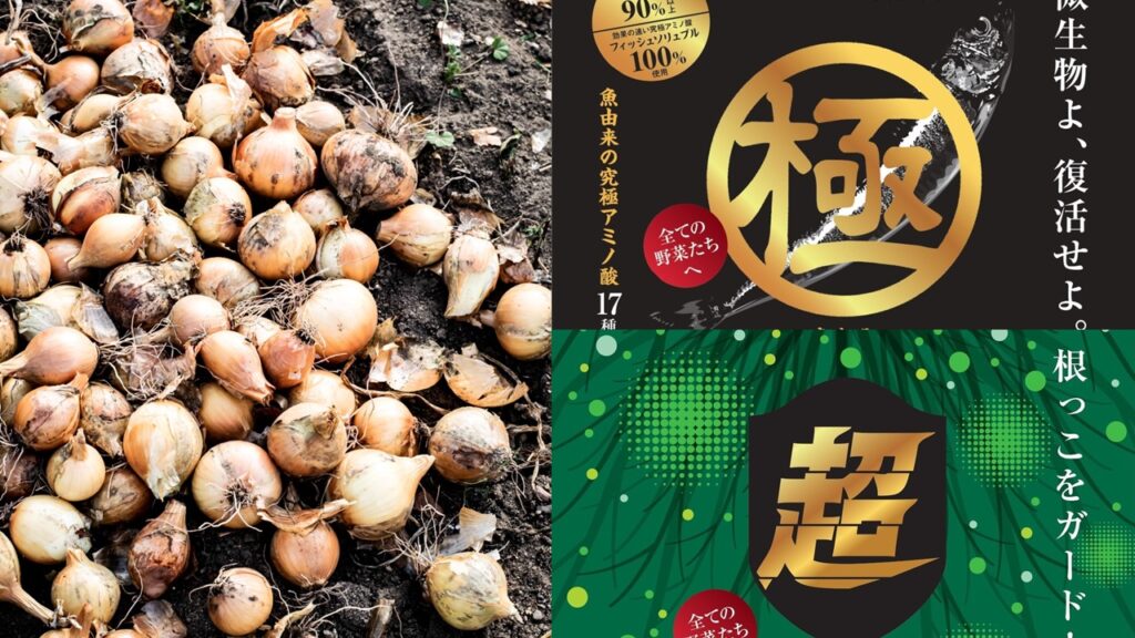 4ac1a7f3d0bb254fbff386903e574c