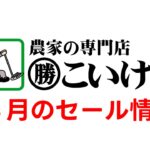 こいけや８月のセール情報
