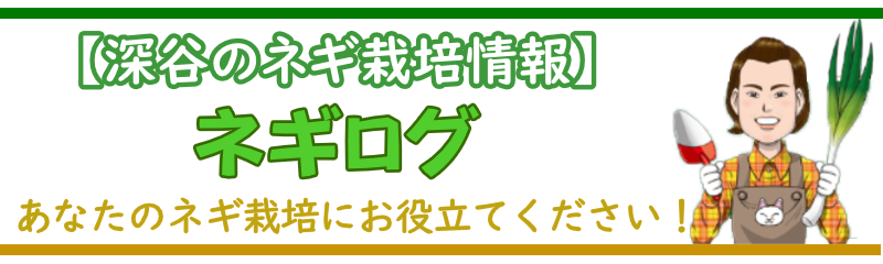 深谷のネギの栽培情報ネギログ